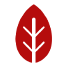 bio